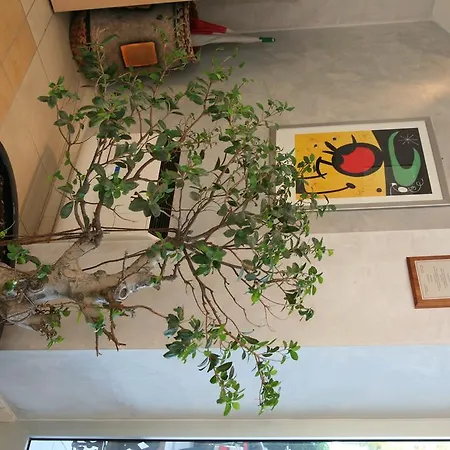 Apart Otel Felicioni