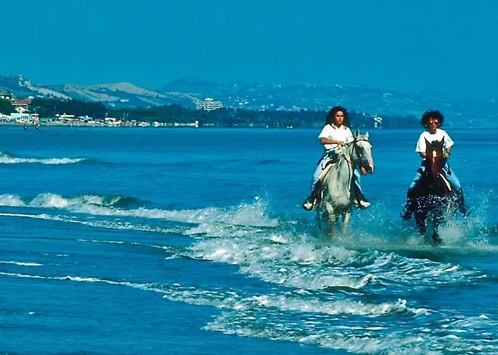 Felicioni מלון דירות