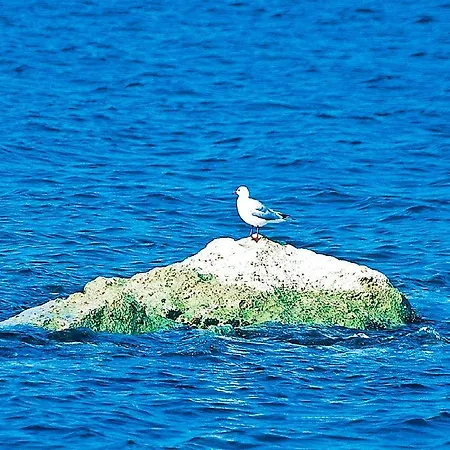 Felicioni 3* Roseto Degli Abruzzi
