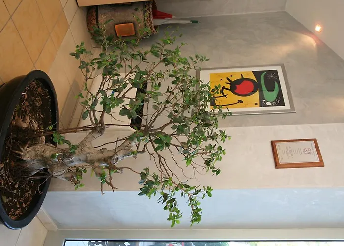 Aparthotel Felicioni