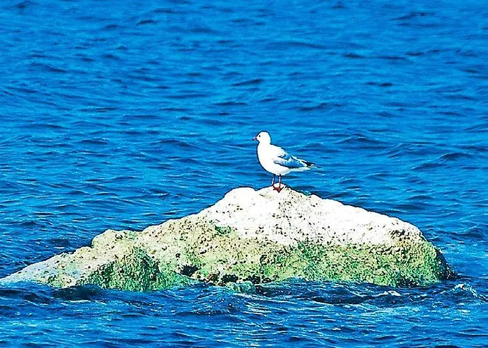 Felicioni 3* Roseto Degli Abruzzi